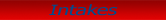 L S X Intakes